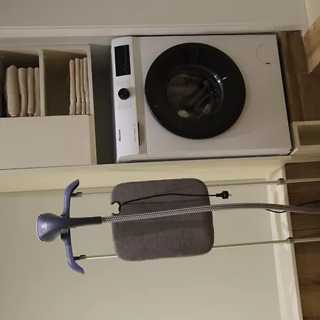 The Leads * 티라나